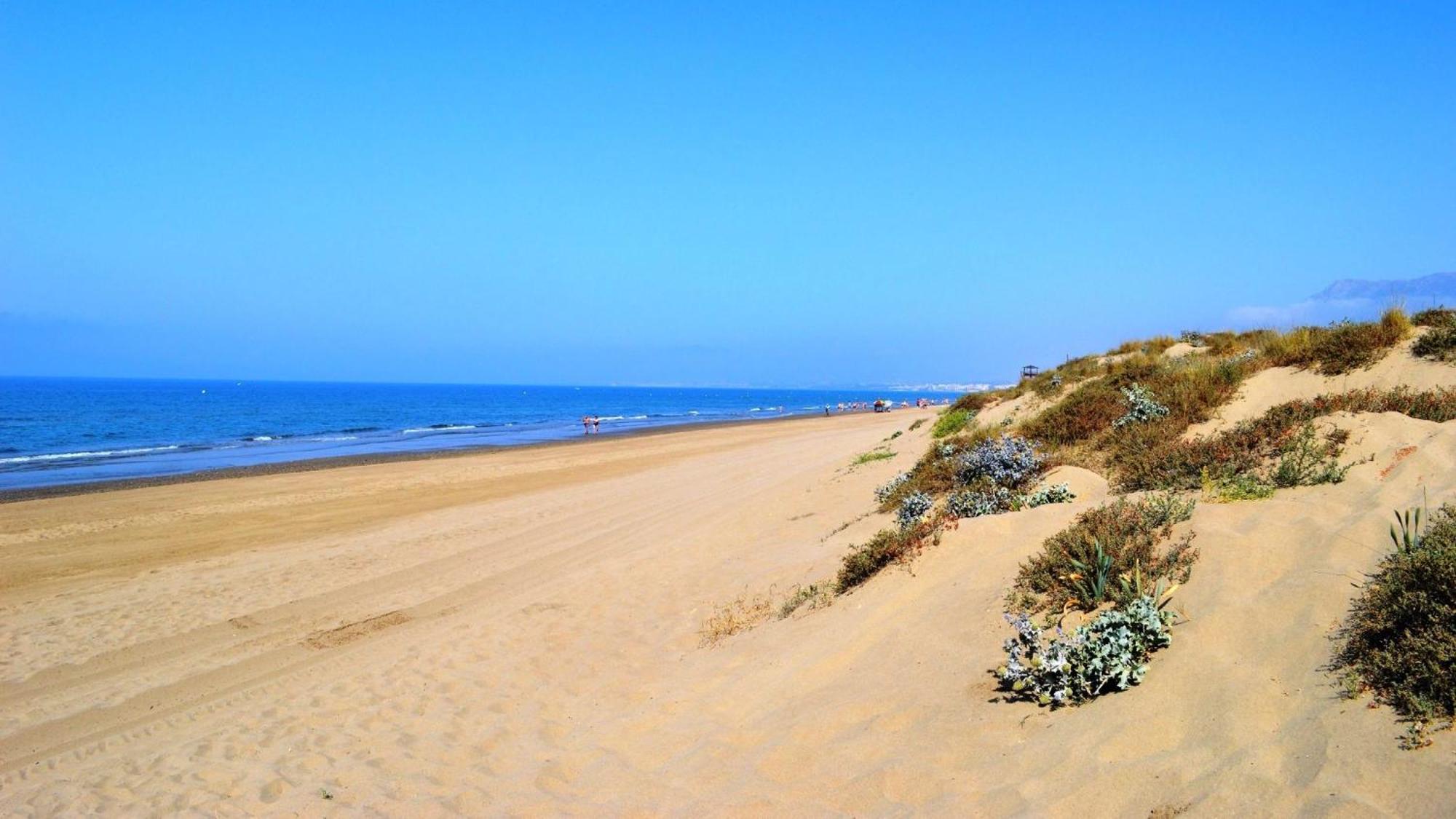 Great Villa Near Beach And Marbella Ngoại thất bức ảnh